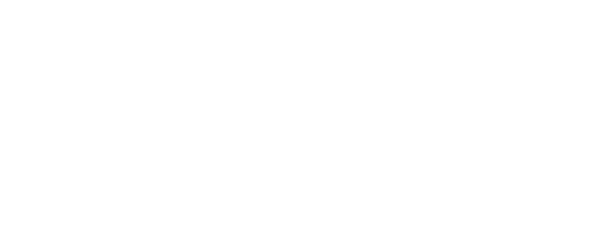 ValetPro_Logo